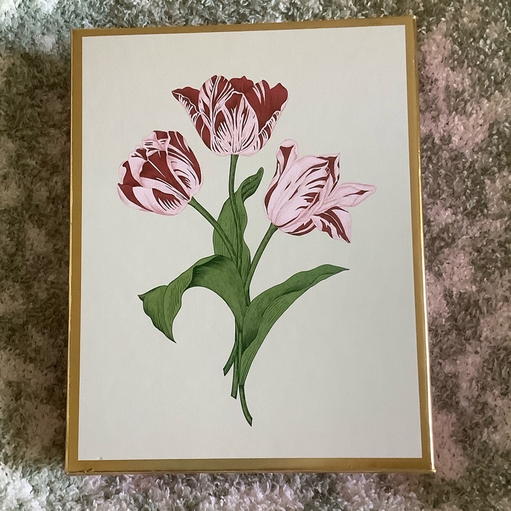Graphique Tulip and Floral Variety Note Card Boxed Set of 20 NWT